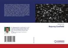Buchcover von Bapung Coalfield