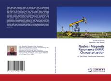 Copertina di Nuclear Magnetic Resonance (NMR) Characterization