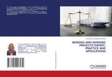 Buchcover von BIDDING-AND-WINNING PROJECTS:THEORY, PRACTICE AND APPLICATIONS