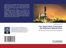 Copertina di Gas Separation Technique by Polymeric Membranes