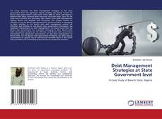 Copertina di Debt Management Strategies at State Government level