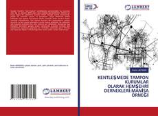 Buchcover von KENTLEŞMEDE TAMPON KURUMLAR OLARAK HEMŞEHRİ DERNEKLERİ:MANİSA ÖRNEĞİ