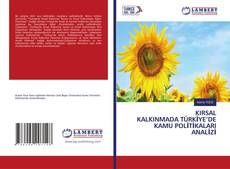 Buchcover von KIRSAL KALKINMADA TÜRKİYE’DE KAMU POLİTİKALARI ANALİZİ