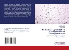 Copertina di Non-Linear Optimization SQP Technique in Multiphase Flow