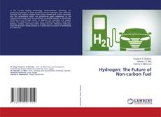 Copertina di Hydrogen: The Future of Non-carbon Fuel