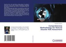 Buchcover von Comprehensive Methodology for Natural Disaster Risk Assessment