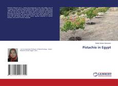 Copertina di Pistachio in Egypt