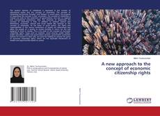 Copertina di A new approach to the concept of economic citizenship rights
