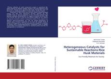 Copertina di Heterogeneous Catalysts for Sustainable Reactions:Rice Husk Materials