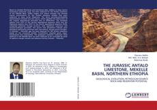 Buchcover von THE JURASSIC ANTALO LIMESTONE, MEKELLE BASIN, NORTHERN ETHIOPIA