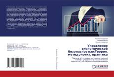 Bookcover of Управление экономической безопасностью:Теория, методология, практика