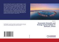 Copertina di Economic Growth and Energy Consumption in Sichuan, China