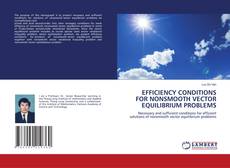 Copertina di EFFICIENCY CONDITIONS FOR NONSMOOTH VECTOR EQUILIBRIUM PROBLEMS