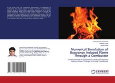 Copertina di Numerical Simulation of Buoyancy Induced Flame Through a Combustor