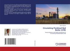 Buchcover von Circulating Fluidized Bed Boiler (CFB)