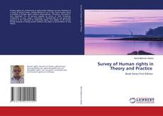 Buchcover von Survey of Human rights in Theory and Practice