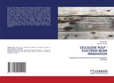 Buchcover von CELLULOSE PULP - ELECTRON BEAM IRRADIATION