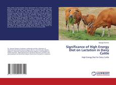 Buchcover von Significance of High Energy Diet on Lactation in Dairy Cattle