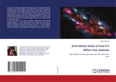 Copertina di Dark Matter Halos of Past 6.5 Billion Year Galaxies