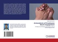 Buchcover von Antecedents of Employees Work Engagement