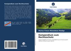 Portada del libro de Kompendium zum Rechtsschutz