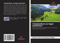 Compendium on legal protection的封面