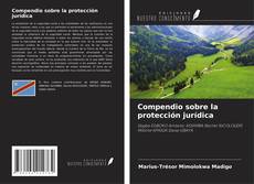 Capa do livro de Compendio sobre la protección jurídica 