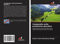 Copertina di Compendio sulla protezione giuridica