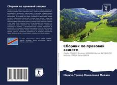 Borítókép a  Сборник по правовой защите - hoz