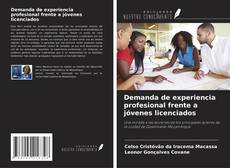 Buchcover von Demanda de experiencia profesional frente a jóvenes licenciados