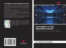 Corruption in the Education Sector的封面