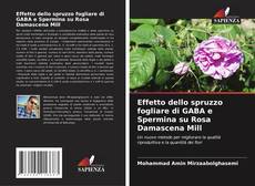 Effetto dello spruzzo fogliare di GABA e Spermina su Rosa Damascena Mill的封面