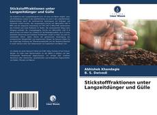 Copertina di Stickstofffraktionen unter Langzeitdünger und Gülle