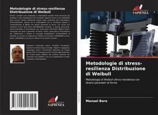 Обложка Metodologie di stress-resilienza Distribuzione di Weibull