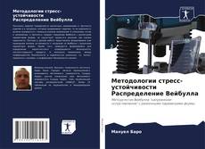 Bookcover of Методологии стресс-устойчивости Распределение Вейбулла
