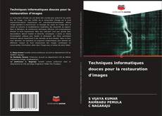 Techniques informatiques douces pour la restauration d'images的封面