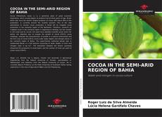 COCOA IN THE SEMI-ARID REGION OF BAHIA的封面