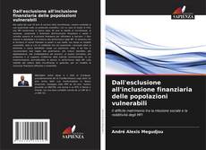Copertina di Dall'esclusione all'inclusione finanziaria delle popolazioni vulnerabili
