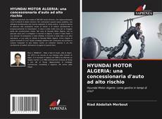 HYUNDAI MOTOR ALGERIA: una concessionaria d'auto ad alto rischio的封面
