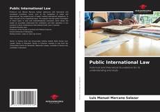 Public International Law的封面