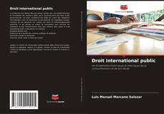 Buchcover von Droit international public