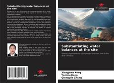 Substantiating water balances at the site的封面