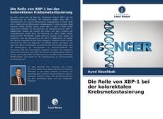 Copertina di Die Rolle von XBP-1 bei der kolorektalen Krebsmetastasierung