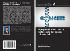 Bookcover of El papel de XBP-1 en la metástasis del cáncer colorrectal