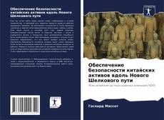 Обложка Обеспечение безопасности китайских активов вдоль Нового Шелкового пути