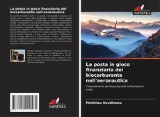 Copertina di La posta in gioco finanziaria del biocarburante nell'aeronautica