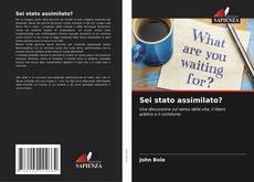 Buchcover von Sei stato assimilato?