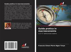 Copertina di Guida pratica in macroeconomia