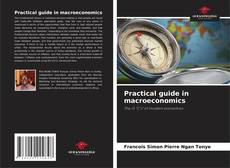 Practical guide in macroeconomics的封面