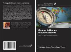 Copertina di Guía práctica en macroeconomía
